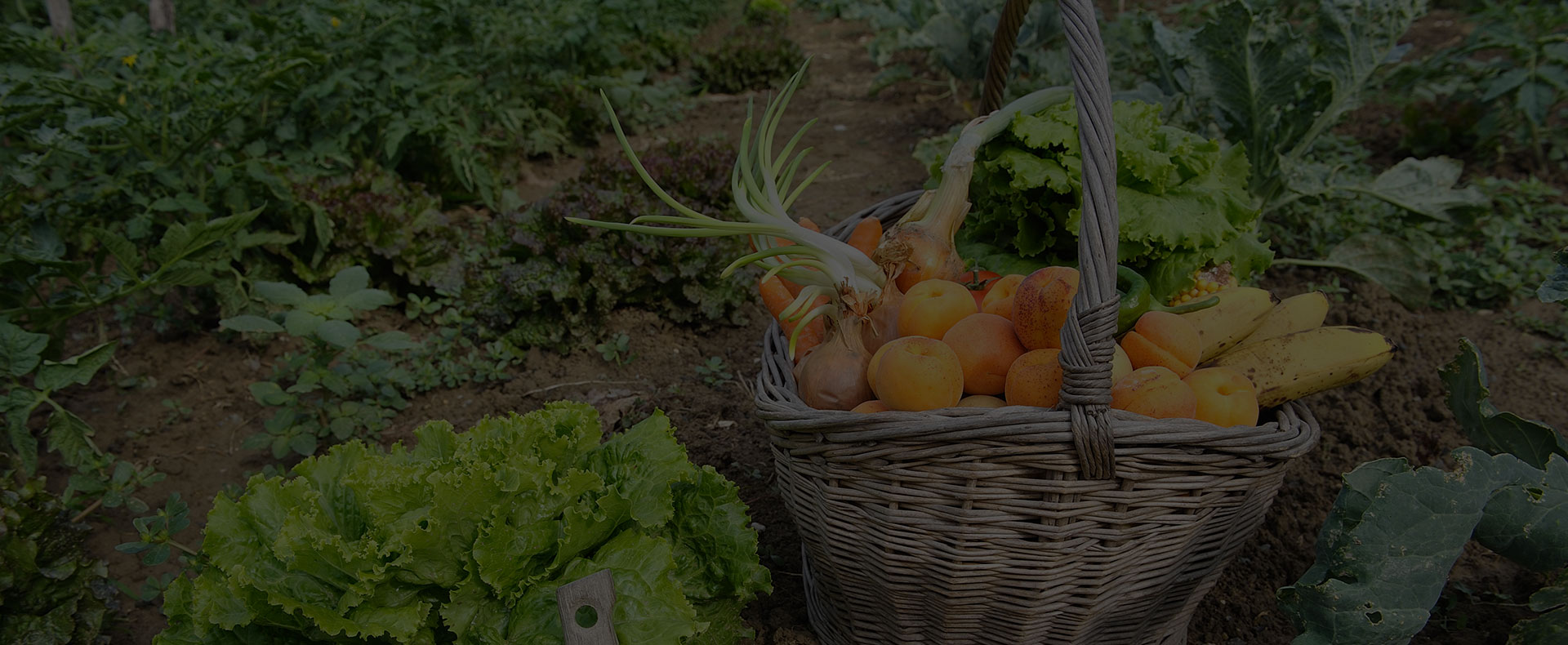 Cultivez vos fruits et legumes
