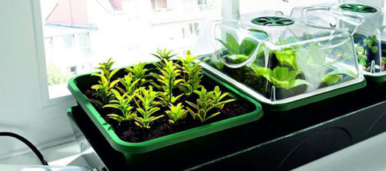 mini serre chauffante