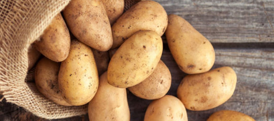 pomme de terre