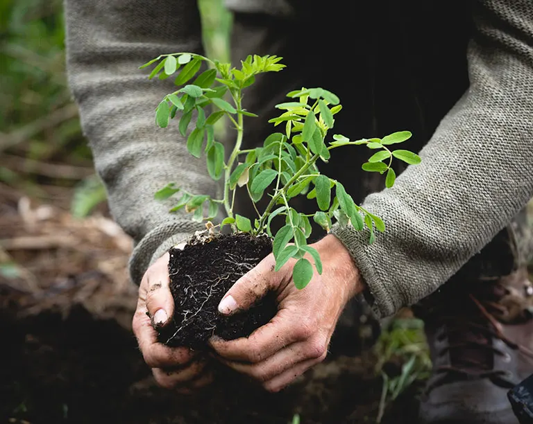 BIO, PERMACULTURE, BIODYNAMIE… ADOPTEZ LES BONNES METHODES